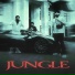 Chani Nattan, BK feat. Inderpal Moga