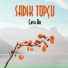 Sadık Topçu