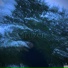 Overlave