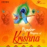Mridul Krishna Shastri