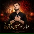 Hassan Raza Zaidi