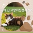 애완 동물 진정 하모니