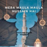Maulana Salim Vadinar