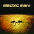 Electric Mary