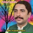 Talib Hussain Dard