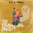 1773 & Strange Soul Music