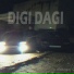 Disdeiger