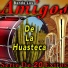 Banda Amigos De La Huasteca