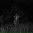 JovemVeid, LTTTRASH