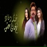 Haris Wajdhaan