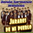 Banda hermanos Mendoza