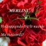 Cristina Merlini