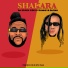Dj Spark Fire, Frankeyz Burna