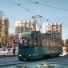 фарфоровые коты
