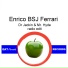 Enrico BSJ Ferrari