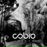COBRO