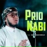 Adnan Habib Mursalin
