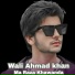 Wali Ahmad khan