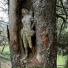 kofun, dumbawesomegirl