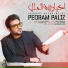 Pedram Paliz