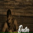 Veet Baljit