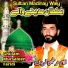 Ghulam Mursaleen Faridi