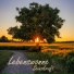 Lebenswonne