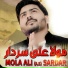 Syed Abrar Shah Naqvi