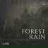 Rainforest Sounds