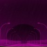 PARADOXXX