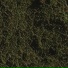Swamp Harbour (Stinkin Slumrok & Bisk)