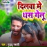 Guddu Garasi