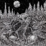 Cryptum