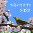 リフレッシュ回復