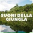 Ennio Morello