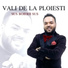 Vali de la Ploiesti