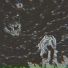 snxwfvce