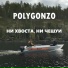 Polygonzo