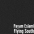 Payam Eslami