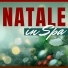 Natale Specialist
