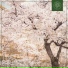 Eu93ne, Beats for Trees