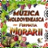 FORMATIA MORARII