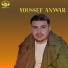 Youssef Anwar