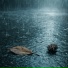 Stelas, Rain Sound Studio