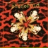 Phonoroid