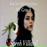 Sareh Villanll
