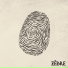 Zèbre