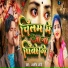 Aashish Arya