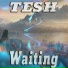 TESH