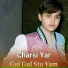 Charsi Yar